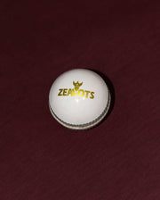 ZEALOTS RoninZ White Ball 2-Piece Cricket Ball