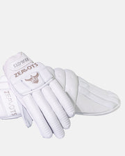 Bundle Deal - Batting Glove and Leg Pads