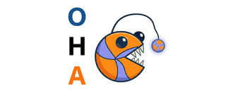 OHA Volleyball Team