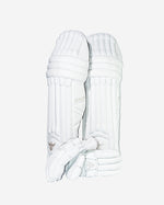 Load image into Gallery viewer, Bundle Deal - Batting Glove and Leg Pads
