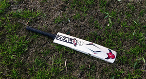 MasterStroke Premier Grade 1 English Willow Cricket Bat ZEALOTS
