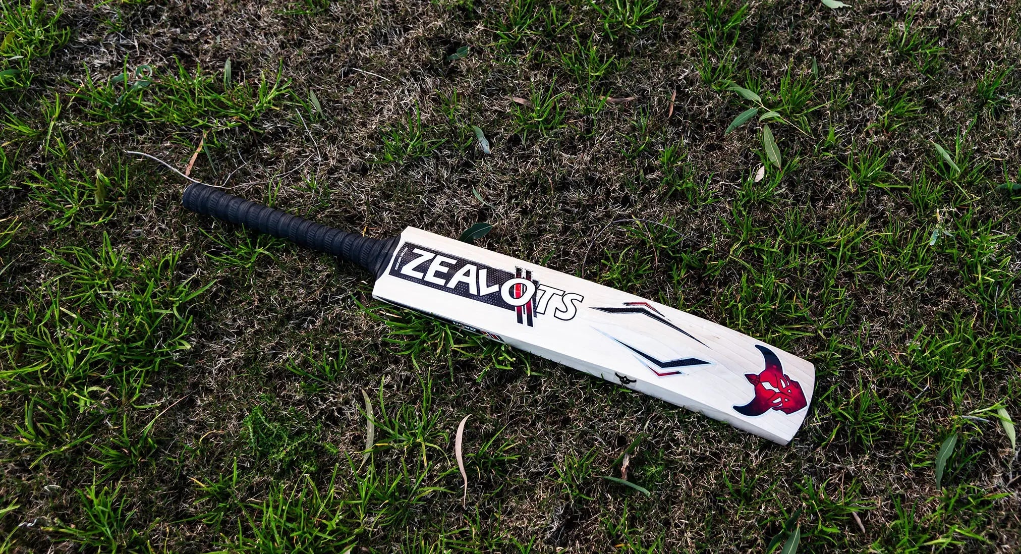 MasterStroke Premier Grade 1 English Willow Cricket Bat ZEALOTS